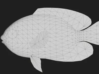 Bass fish Low-poly 3D model 10