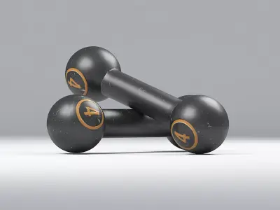 Gym Dumbbell 4 3D model