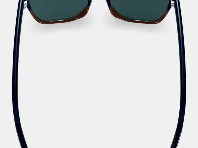 Barkley Sunglasses in Antique Shale Fade Low-poly 3D model