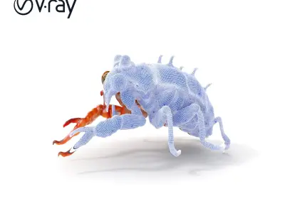 Detailed Insect Model Pack Low-poly 3D model