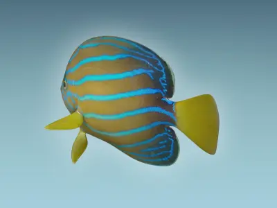 Anglefish 11 3D model