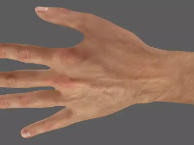 high resolution hand ready for close shoots  3D model