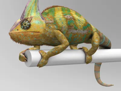 Chameleon Color 3D model