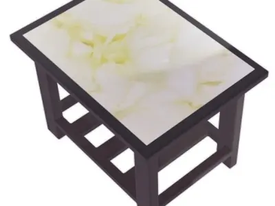 Fascinating Table 3D model
