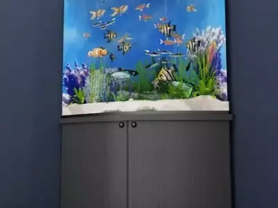 Corner aquarium 3D model
