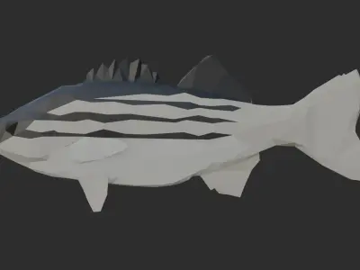 Low Poly Striped Bass Low-poly 3D model