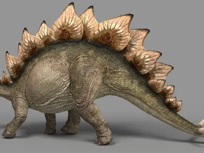 Stegosaurus animations Low-poly 3D model