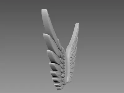 Wings relief 3D model buy