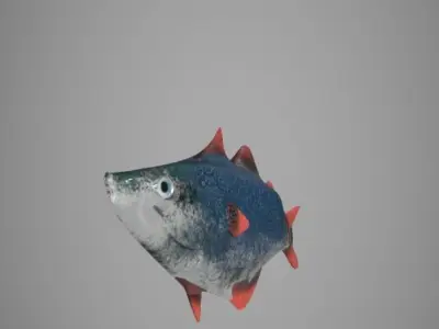 Fish Pollock 3D model