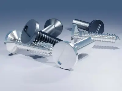 Stainless Steel Screw 3D model