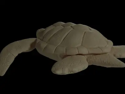 Sea Turtle Model 3D print model