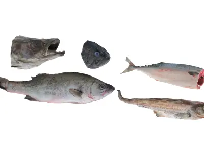 Seafood Shops Pack 02 3D model