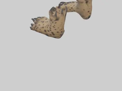Hyena Paws Model Low-poly 3D model