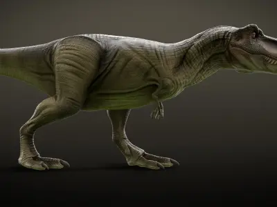 T Rex Dinosaur Rig and Animations Low-poly 3D model