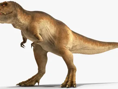 Animated Tyrannosaurus Rex Roaring Rigged for Cinema 4D 3D model