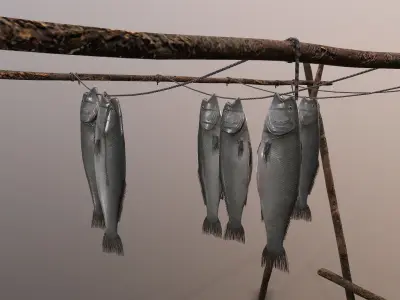 Fish Rack 3D model