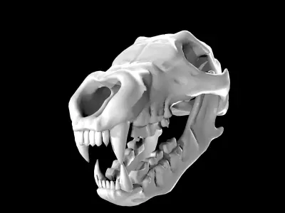 Bear Skull Low-poly 3D model