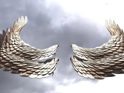 Serafim Wings 9  3D model