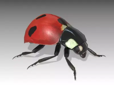 Ladybug Animated Low-poly 3D model
