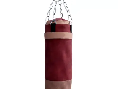 Boxing Bag 3D model get