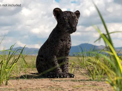 Black Leopard Cub Sitting Pose 3D model