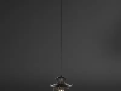 lamp 3D model industrial cage pendant light - industrial cage... 3D model