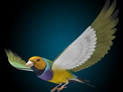 Finch - Flight 3D model