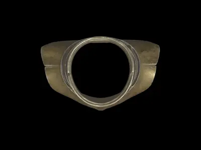 golden neck shield 3D model