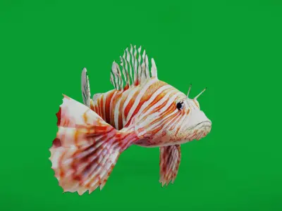Lionfish Low-poly 3D model order