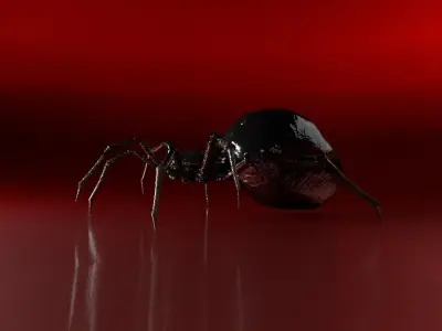 Spider 3D model 33