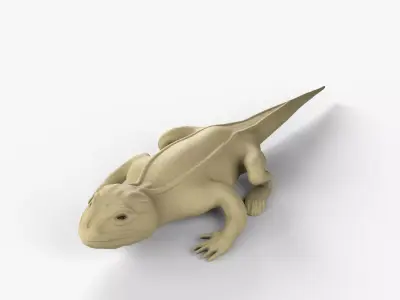 Bearded dragon Low-poly 3D model