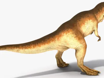 Animated Tyrannosaurus Rex Roaring Rigged for Cinema 4D 3D model