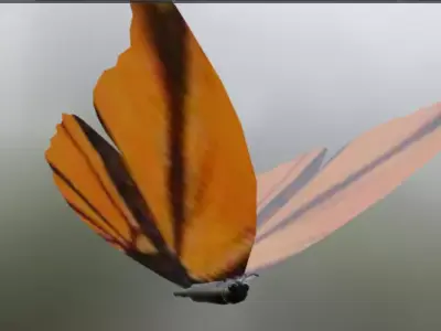 Simpel Buterflys Low-poly 3D model
