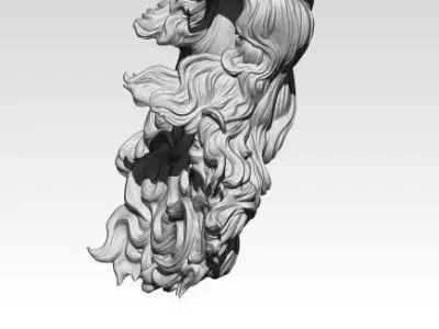 Woman Girl Hair 3D print model