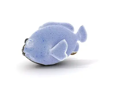 Spotted Fish Design model pack Low-poly 3D model