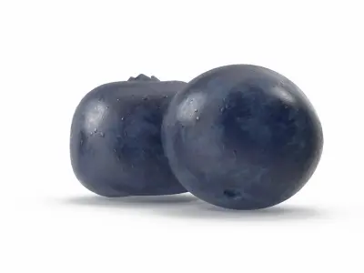  Blueberrys 