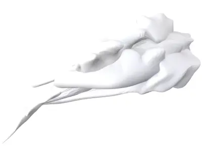 night fury how to train your dragon 3D print model