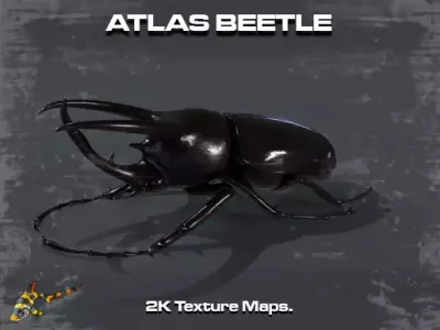 Atlas Beetle Low-poly 3D model