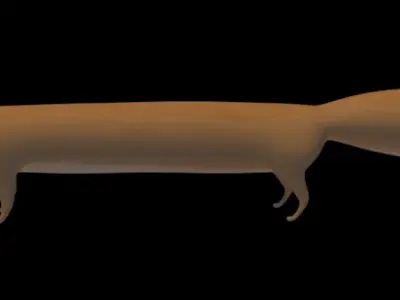 loooooong fox Free 3D model