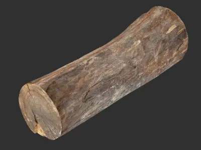 Tree trunk wood 3d scan highpoly 3D model by Shutters