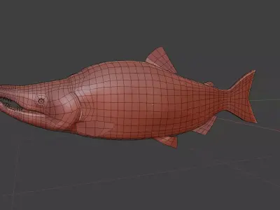 Salmon low poly fish 3D model