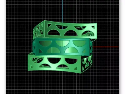 bypass gold ring 2 part 3D print model
