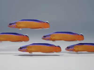 Neon Dotyyback Free 3D model