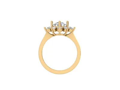 Engagement-ring 3D print model order