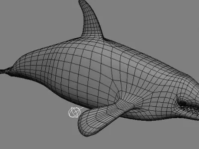 Orca 3d whale 3D model