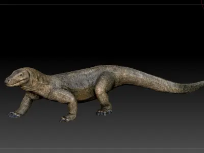 Komodo dragon Low-poly 3D model