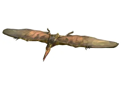 Dinosaur Pteranodon LowPoly Art Low-poly 3D model