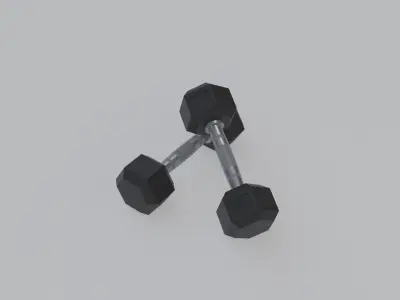 Dumbbell 10 KG Low-poly 3D model