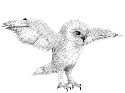 White Owl Rigged Animated Free low-poly 3D model
