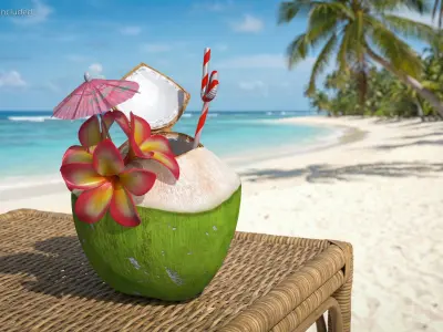 Tropical Coconut Beverage with Flowers and Umbrella 3D model